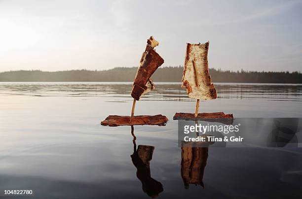 two bark boats on a lake at sunset - somero photos et images de collection