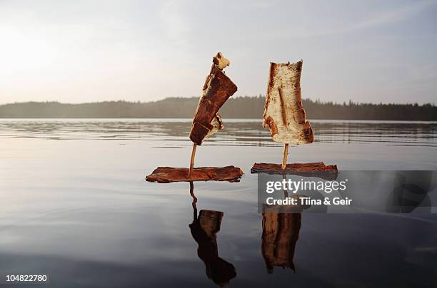 two bark boats on a lake at sunset - plant bark stock pictures, royalty-free photos & images