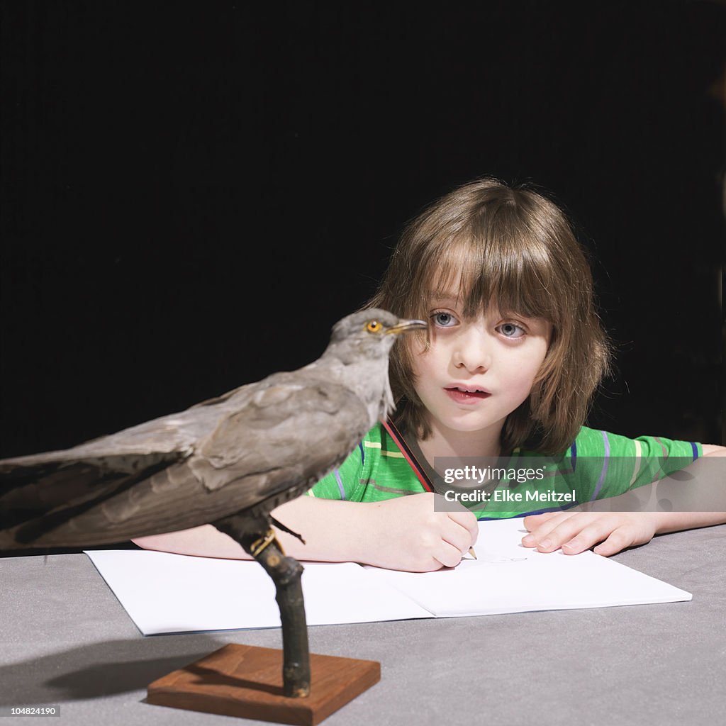 Boy drawing a bird
