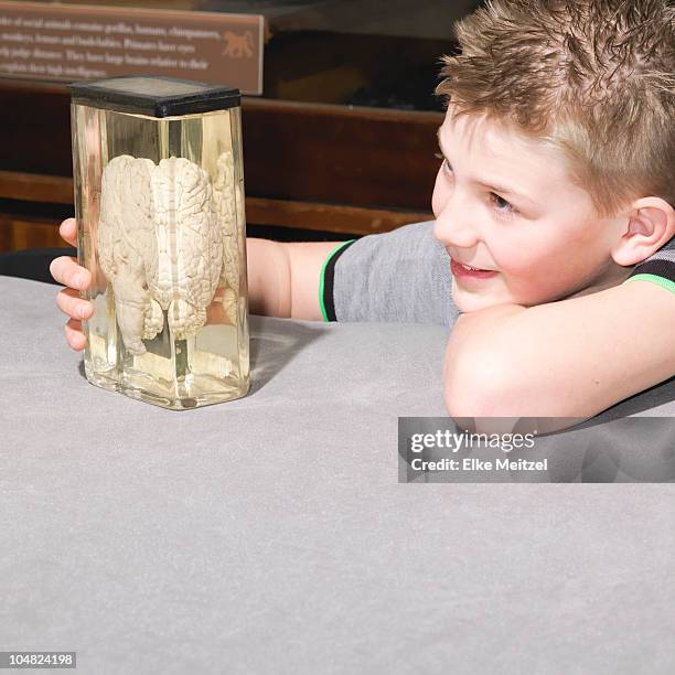 boy looking at jar containing a brain - brain in a jar stock pictures, royalty-free photos & images