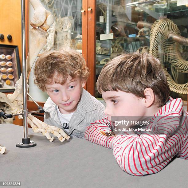 boys looking at artifact in museum - science museum stockfoto's en -beelden
