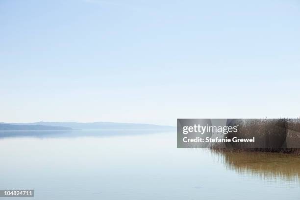 sea with reed - ammersee stock pictures, royalty-free photos & images