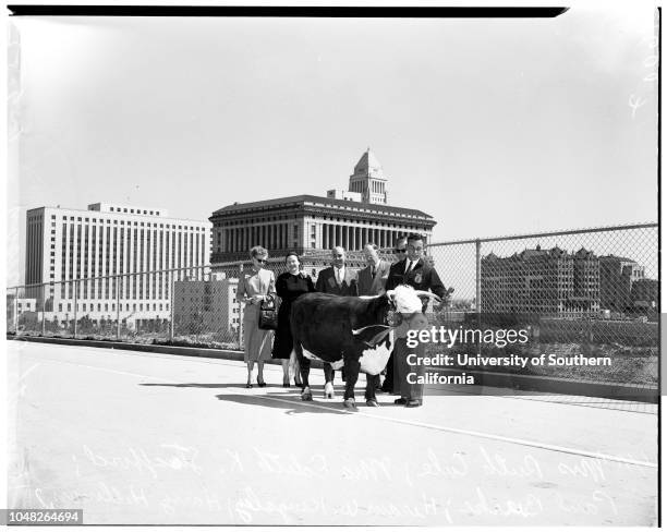 Four-H Champion and his cow, 9 June 1952. Kenneth Morrison ;Mrs Ruth Cole;Mrs Edith K Stafford;Paul Burke;Hiram W Kingsley;Harry Hillman;Arthur F...