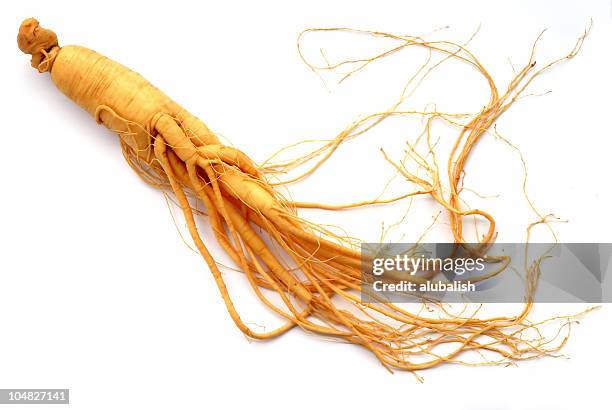 ginseng - ginseng stockfoto's en -beelden