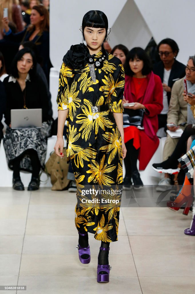 Miu Miu : Runway - Paris Fashion Week Womenswear Spring/Summer 2019