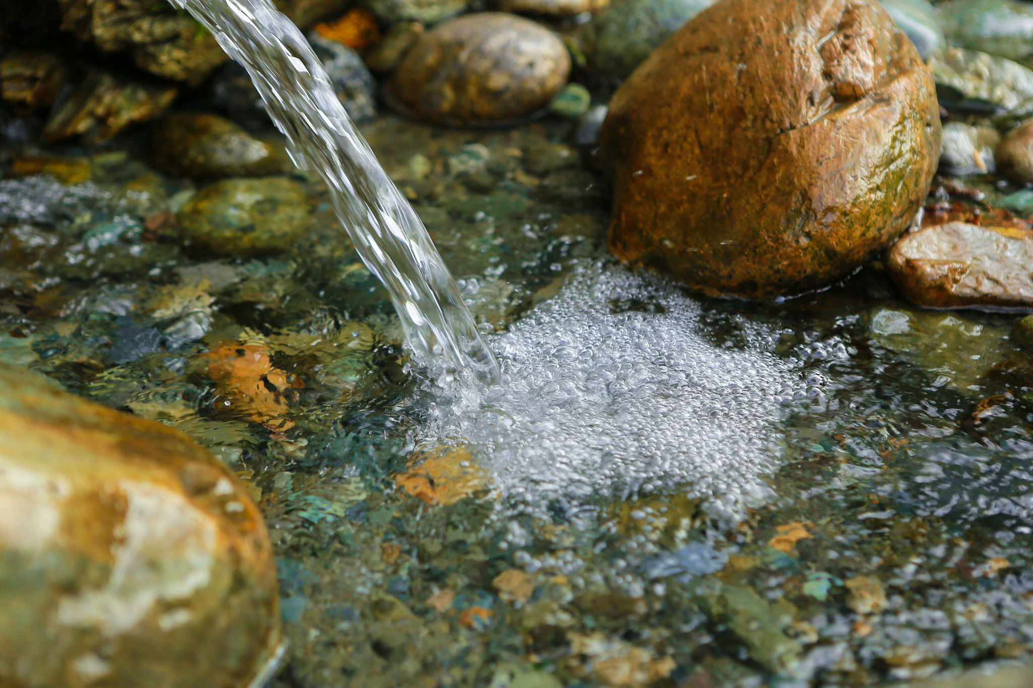shingle springs nature