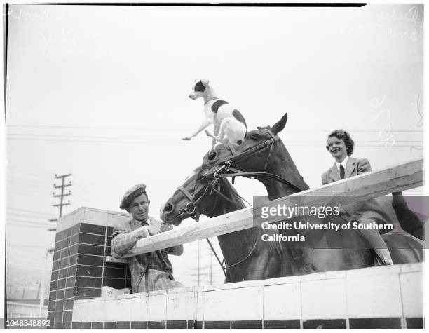 National Horseshow, 26 May 1949. Rudy Smithers;J.J Kessler ;Horse with blinkers is 'Rex Qui Saleet');Other horse is 'Hop-A-Long'.;Caption slip reads:...