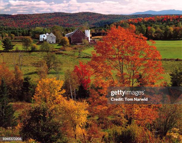 rygate corner, vt-4 - maple syrup stock pictures, royalty-free photos & images