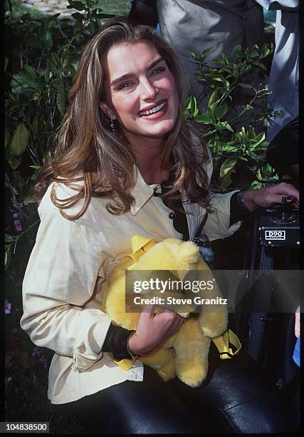 Brooke Shields during Celebrity Halloween Event at Home of Susie Field for the Children of LA Childrens Hospital at Private House in Beverly Hills,...
