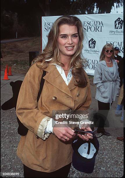 Brooke Shields during "Children at Play" for LA Battered Women's Shelters - November 17, 1996 at Will Rogers State Park in Pacific Palisades,...