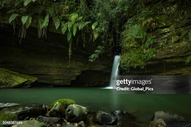 bom retiro - brazil (costãozinho waterfall) - cachoeira stock pictures, royalty-free photos & images