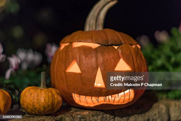 jack o lantern carved halloween pumpkin - pumpkin stock pictures, royalty-free photos & images