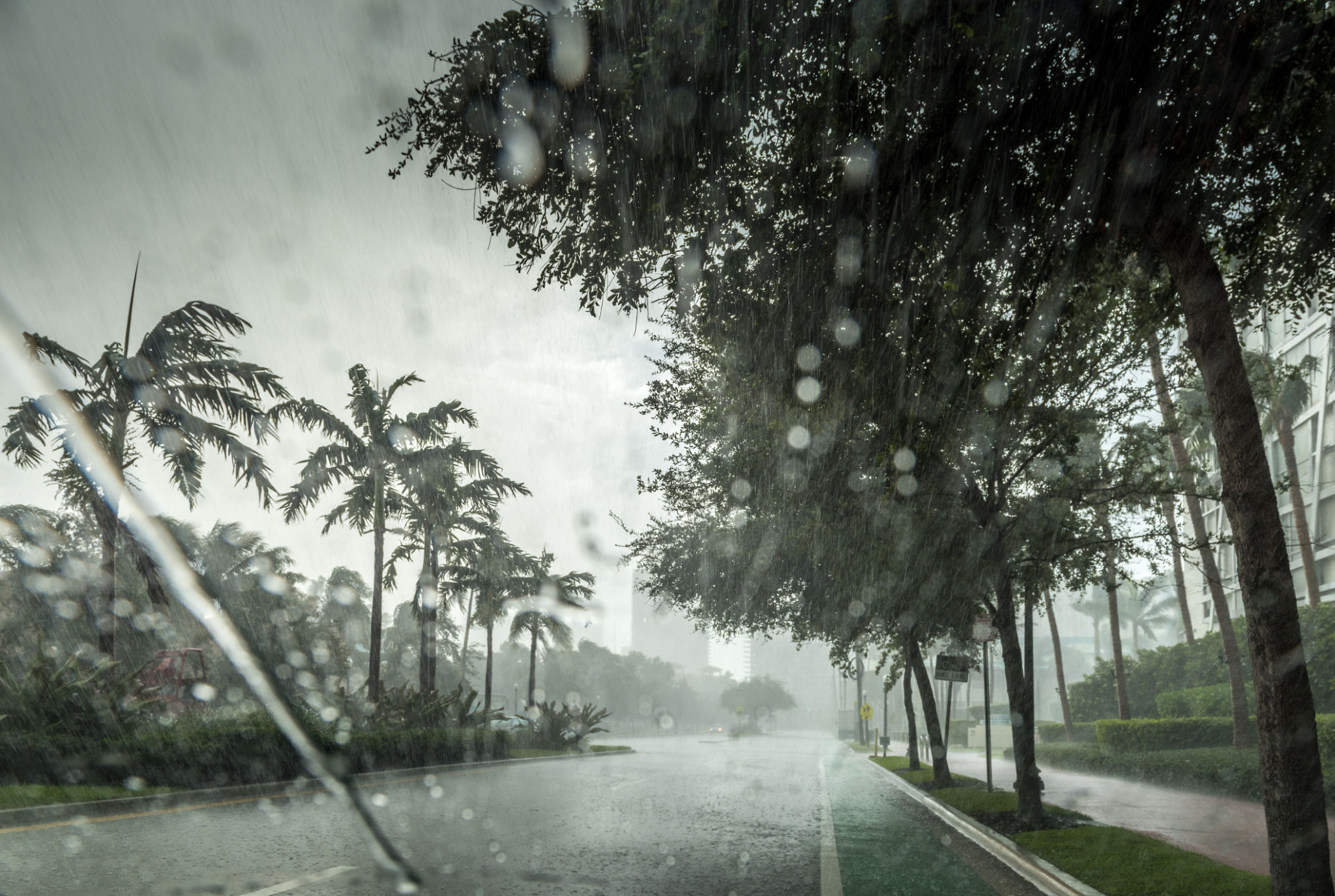 tropical rain