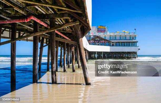 joe's crab shack - joes crab shack stock pictures, royalty-free photos & images