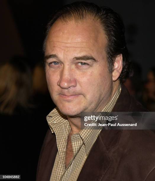 Jim Belushi during "Dreamkeeper" ABC All-Star Winter Party at Quixote Studios in Los Angeles, California, United States.