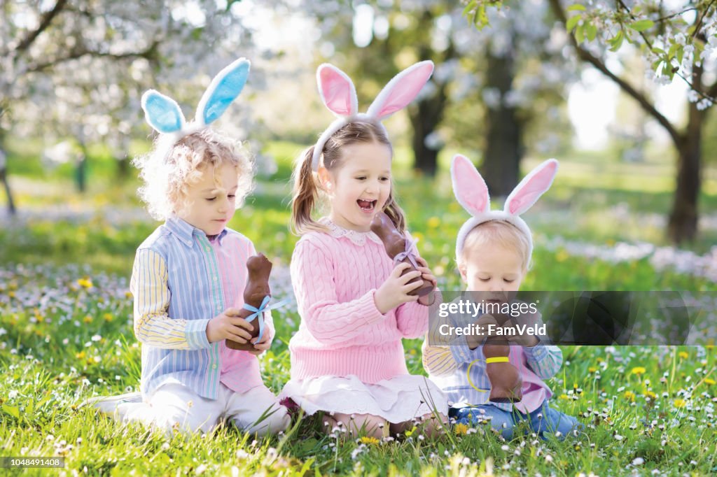 Garden Easter egg hunt. Kids eat bunny chocolate.