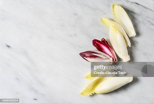 varieties of chicory - radicchio stock pictures, royalty-free photos & images