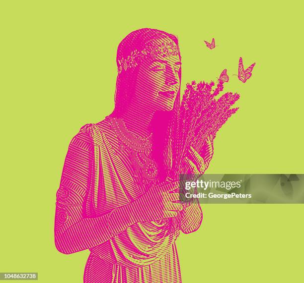 woman and lavender - dried flower stock illustrations