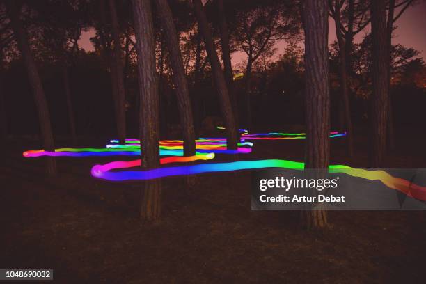 colorful light trail following the way between pine trees at night. - trance stock-fotos und bilder