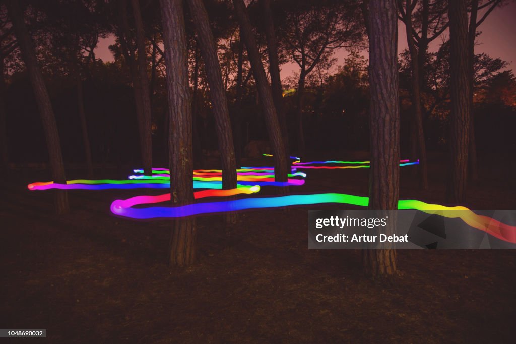 Colorful light trail following the way between pine trees at night.