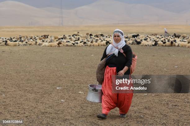 Woman carries a bucket after arriving to milk sheep at a highland following a long mule ride in Catak district of Turkey's eastern Van province on...