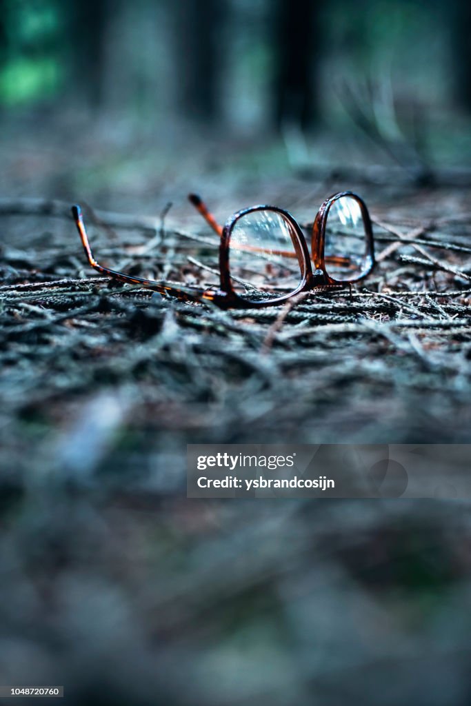 Lost glasses on ground of pine forest.