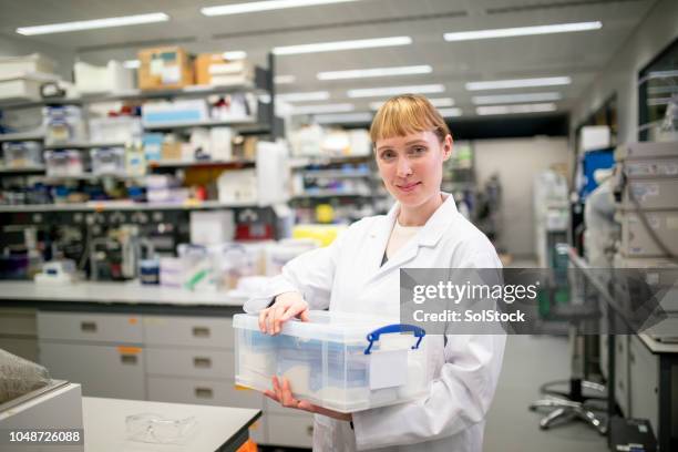 portrait of female scientist in the lab - biologist stock pictures, royalty-free photos & images
