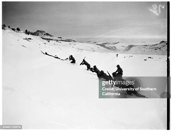 United States Marines in cold weather training camp at Pickel Meadows ...men from Camp Pendleton go through maneuvers, 1952