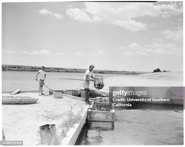 Victorville layout, 8 June 1952. Frank E Chambers ;Attorney William Johnstone;Main intersection in Victorville;Bridge over Mojave River leading to...