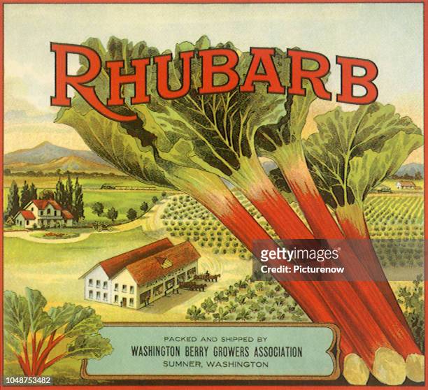 Rhubarb Fruit Label.