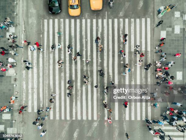 pedestrians on zebra crossing, new york city - crosswalk stock pictures, royalty-free photos & images