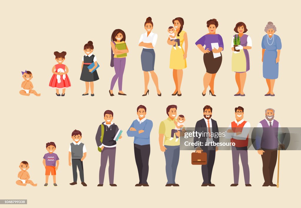 Development Stage Vector Growing Stages Vector High-Res Vector Graphic - Getty Images