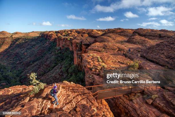 female hiking on the rim of king's canyon - kings canyon australia stockfoto's en -beelden