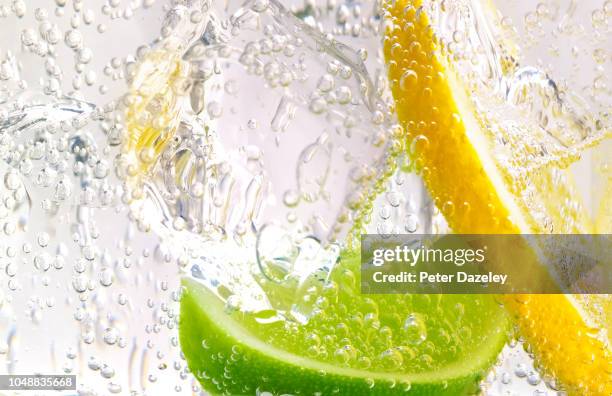 gin and tonic with lemon and lime - citrus fruit stockfoto's en -beelden