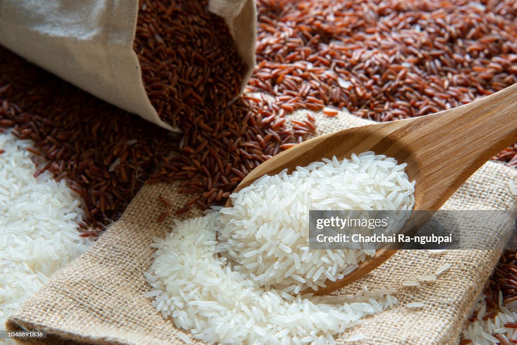 All Food Rice Rice Food Asia High-Res Stock Photo - Getty Images