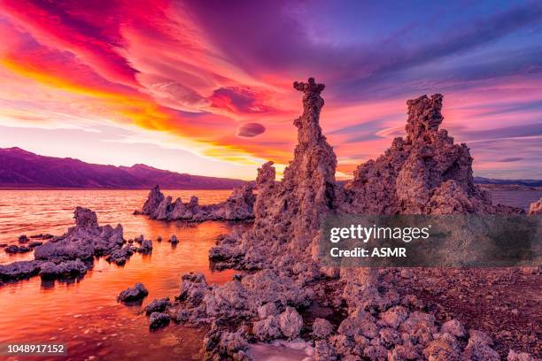 mono lake sunset - monosjön bildbanksfoton och bilder