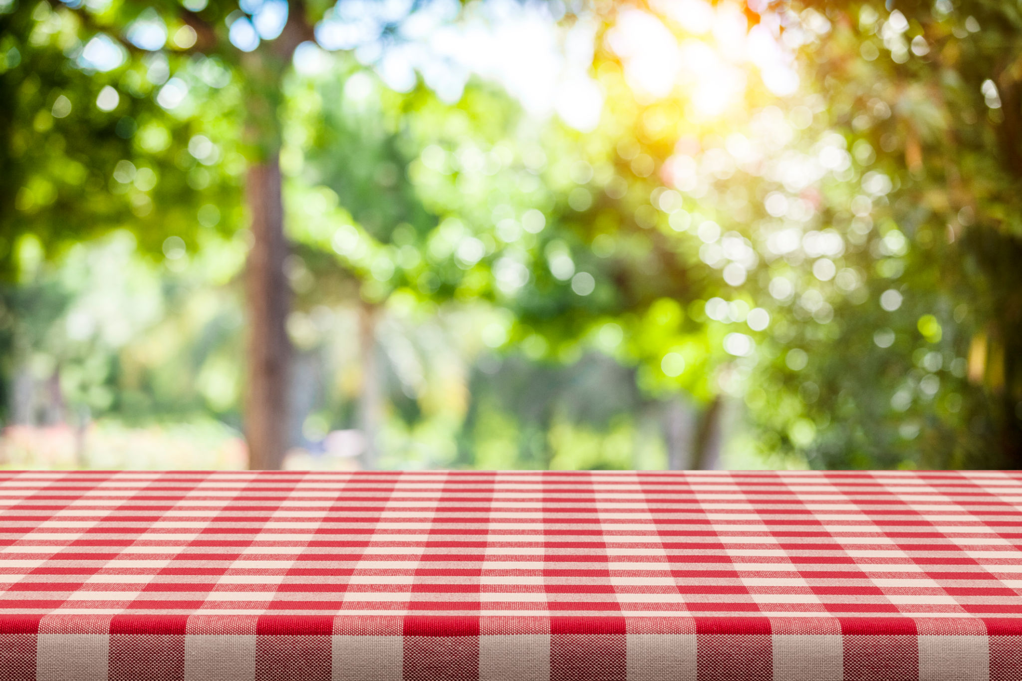 summer picnic