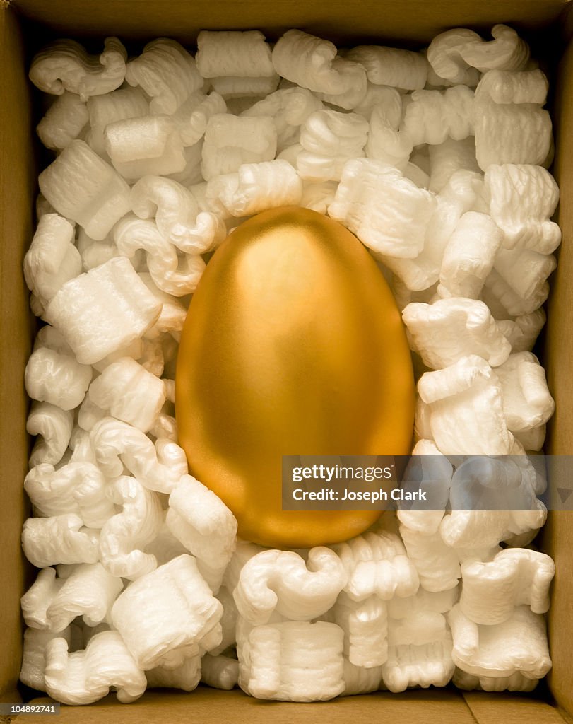 Golden Egg safely packed in a box