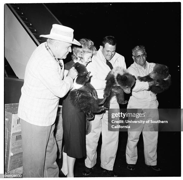 102 Mike Deakin Stock Photos, High-Res Pictures, and Images - Getty Images