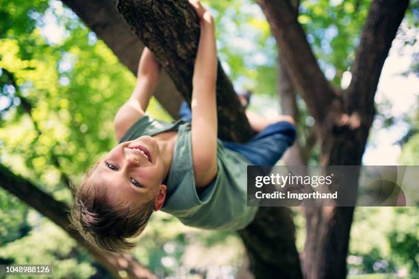 glücklich kleiner junge einen kletterbaum - kinder klettern stock-fotos und bilder