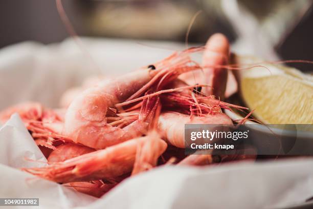 noordzee garnalen op plaat geserveerd klaar om te eten - garnaal gerecht stockfoto's en -beelden
