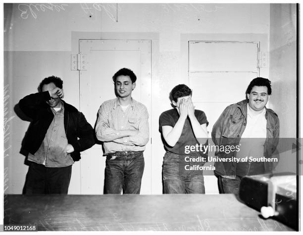 75 Sewer Rats Stock Photos, High-Res Pictures, and Images - Getty Images