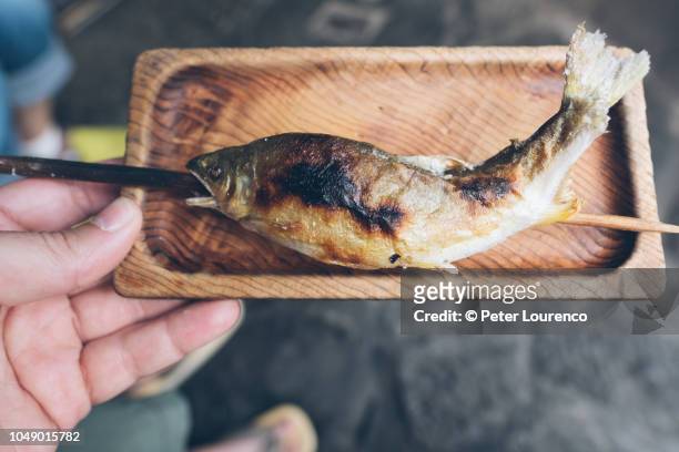 skewered grilled fish - kusatsu stockfoto's en -beelden
