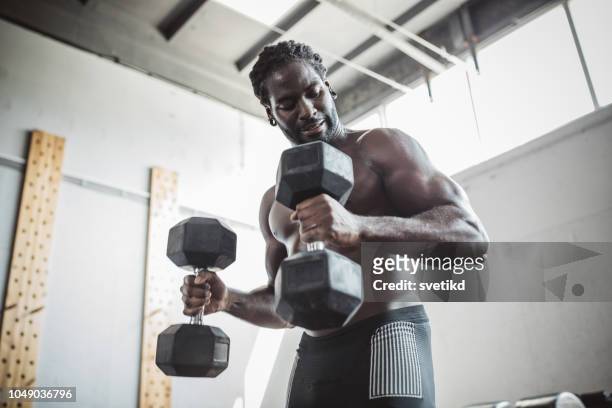 working hard for healthy body - concentration curl stock pictures, royalty-free photos & images