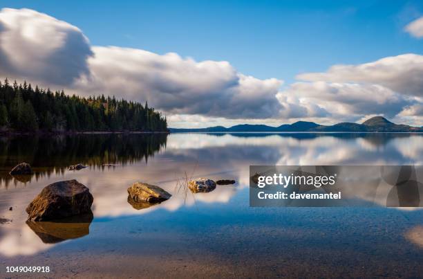 kennedy lake bc - vancouver island stock-fotos und bilder