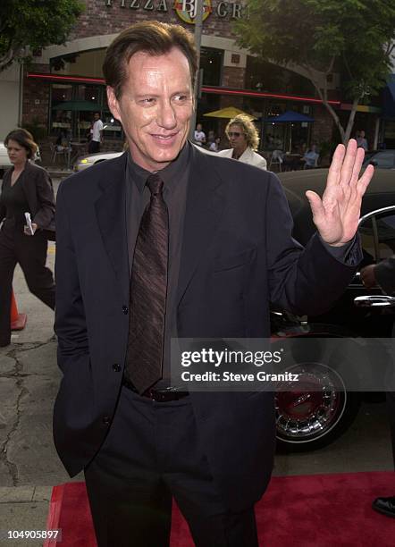 James Woods during Final Fantasy: The Spirits Within Premiere at Mann Bruin Theatre in Westwood, California, United States.