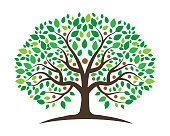 Family Tree vector icon design