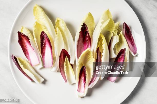 variety of endives (chicory) - radicchio stockfoto's en -beelden