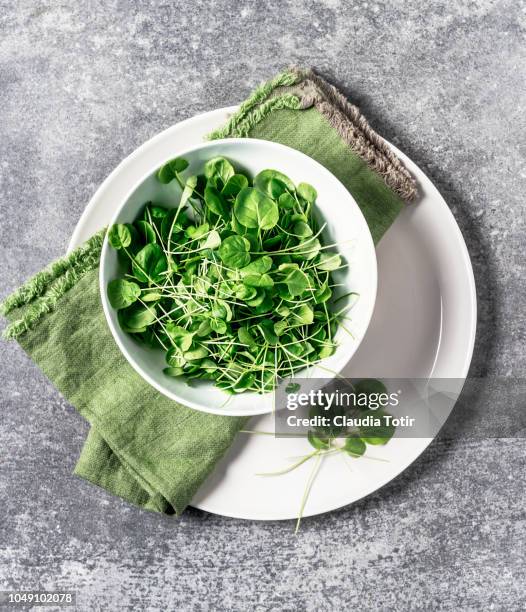 watercress - watercress stock pictures, royalty-free photos & images