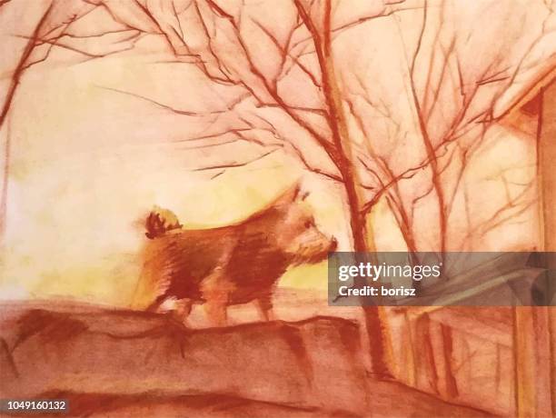 Norwich Terrier High-Res Vector Graphic